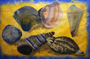 sea shells by Margo Humphries