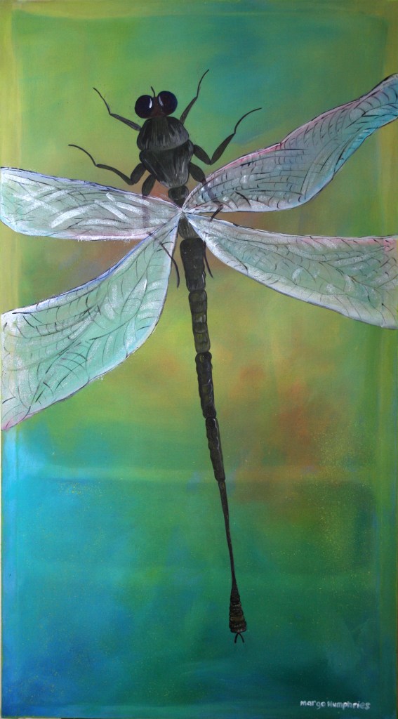 Dragonfly by Margo Humphries