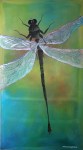 Dragonfly by Margo Humphries