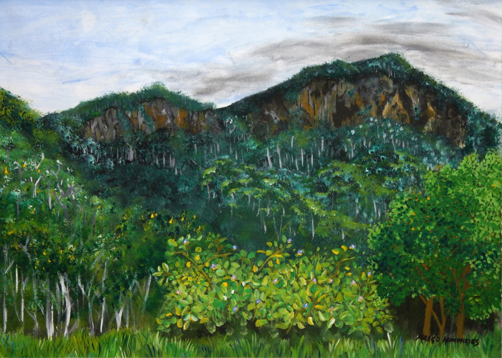 Lansdowne Escarpment by Margo Humphries