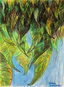 Leaves by Margo Humphries