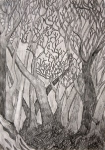 Trees by Margo Humphries