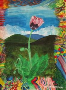 Tulip by Margo Humphries