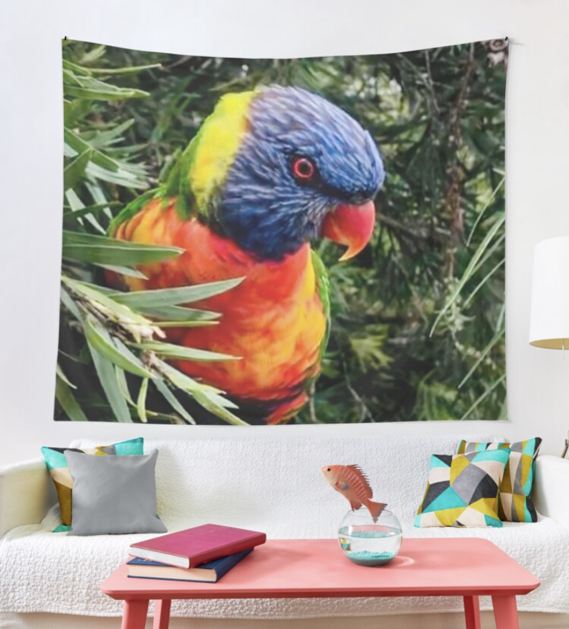 MY NEW RAINBOW LORIKEET&nbsp;RANGE!