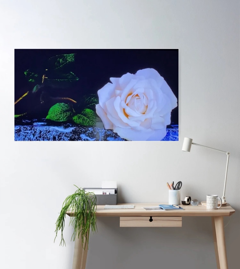 Stunning new prints&nbsp;available!