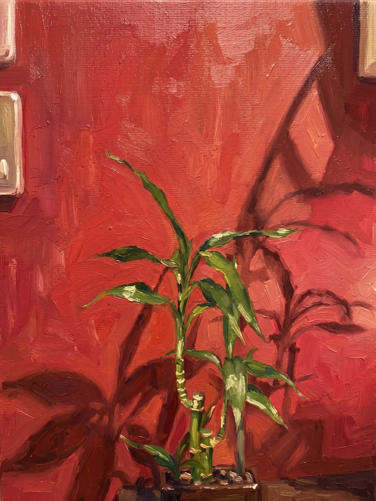 still life at home 2